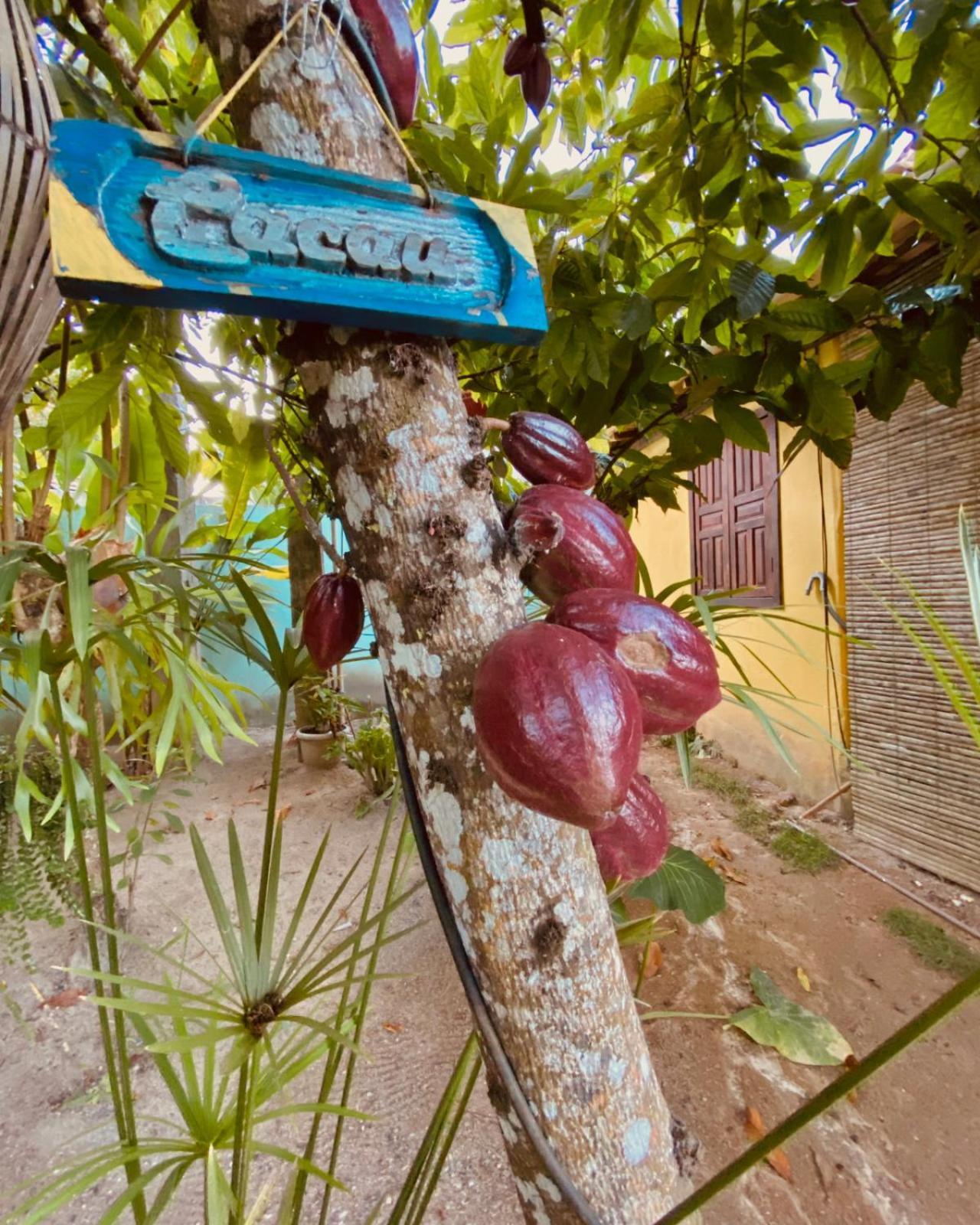 Caraiva Recanto Pousada De Ferias Ngoại thất bức ảnh